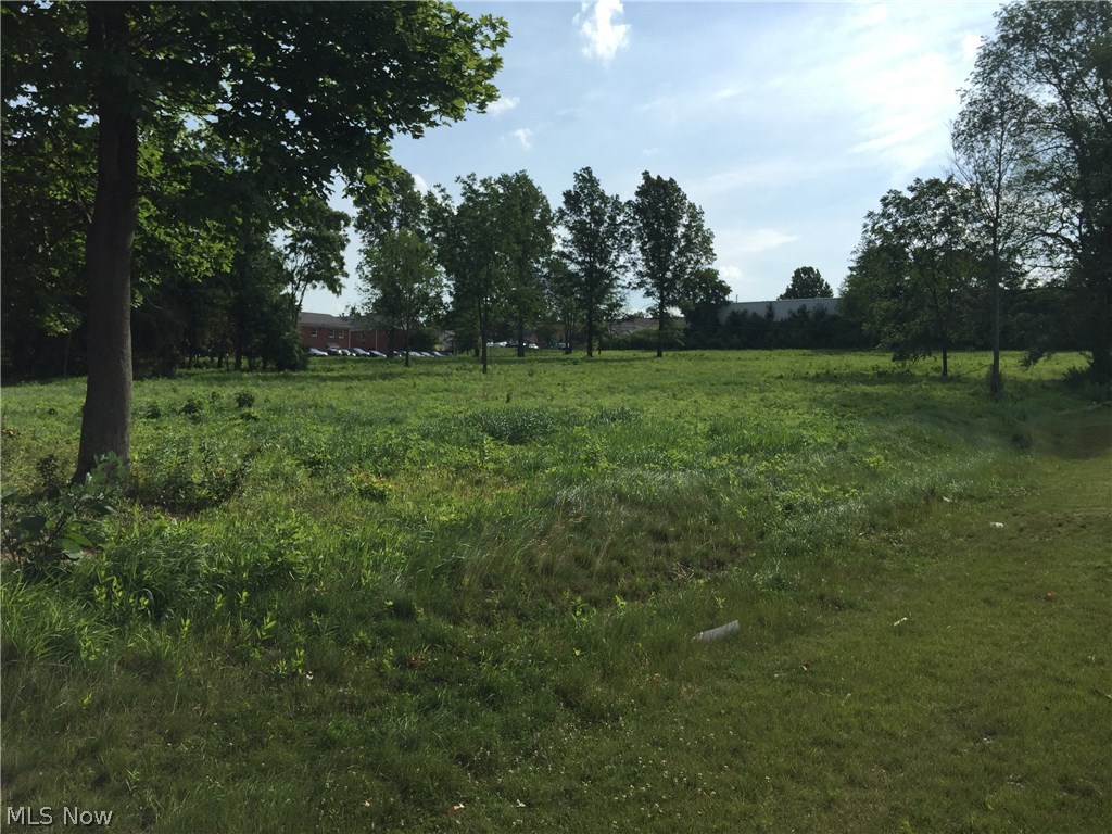 1785 Akron Road Wooster, OH 44691 - Photo 2 of 18 Gallery Image 2