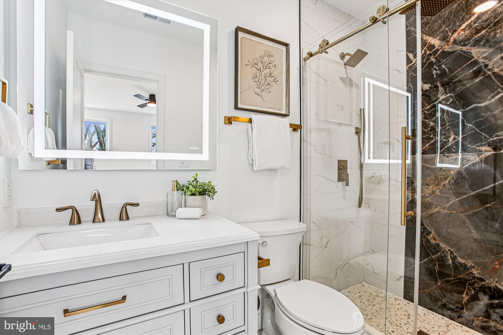 218 15th Street Northeast Washington, DC 20002 - Photo 21 of 51 Primary Bath w/frameless glass enclosure