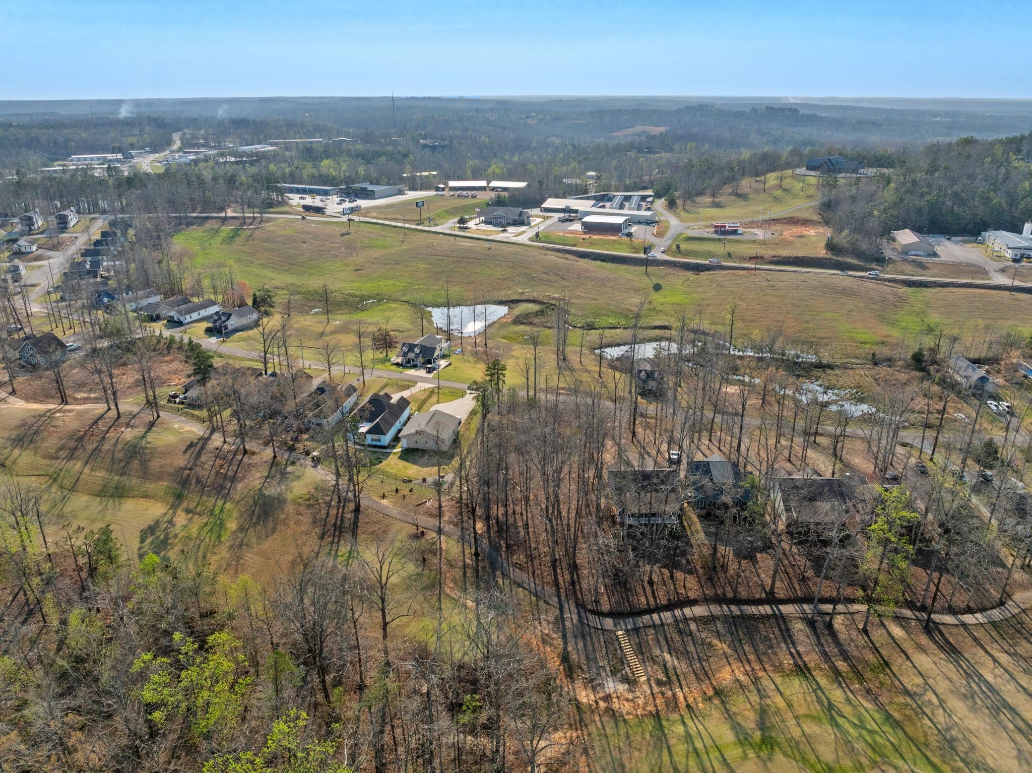 Tbd Tbd Cove Counce, TN 38326 - Photo 11 of 24