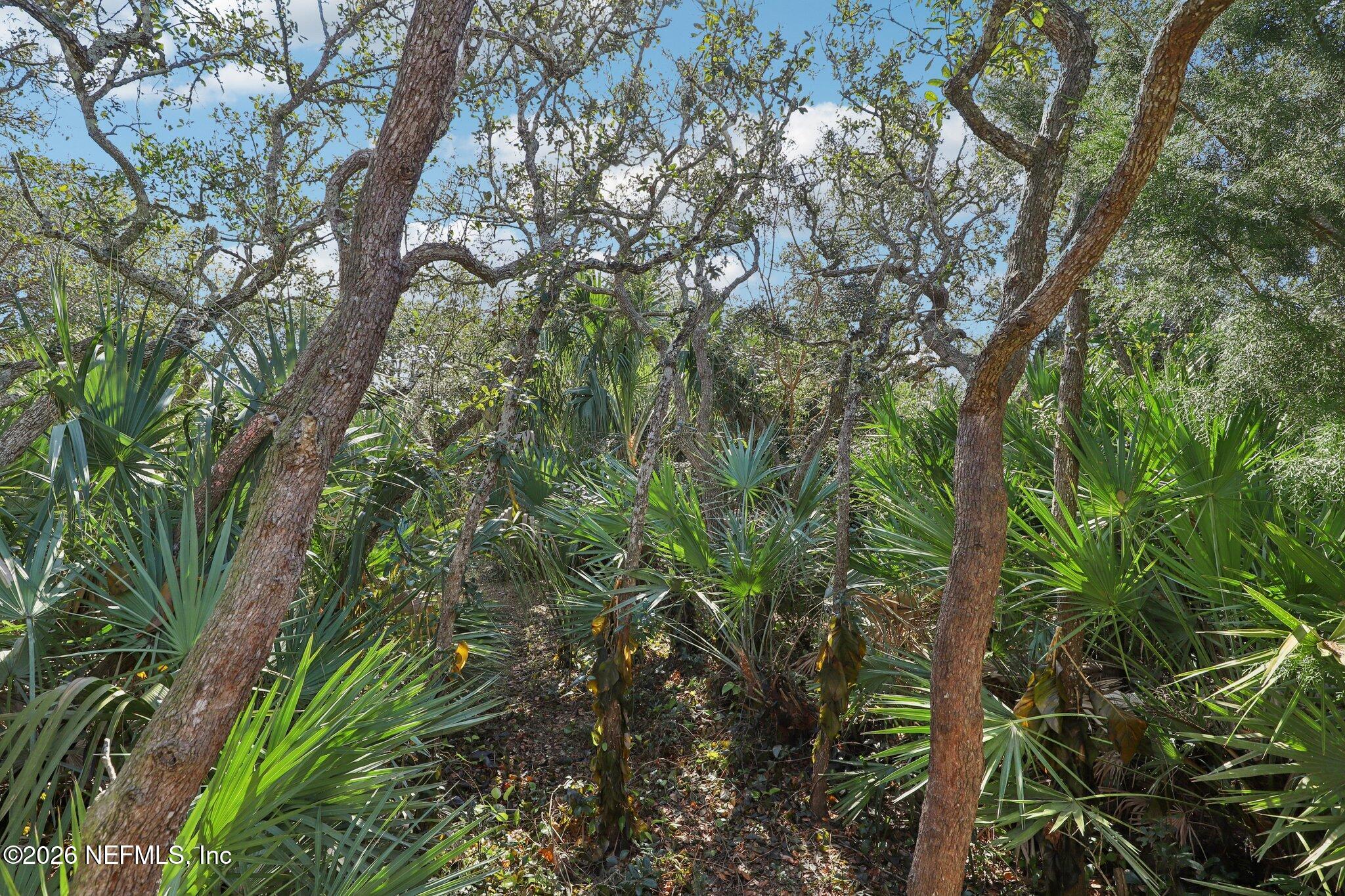 303 Fourteenth Street St. Augustine, FL 32084 - Photo 41 of 45 42-web-or-mls-14th St-S1002-042