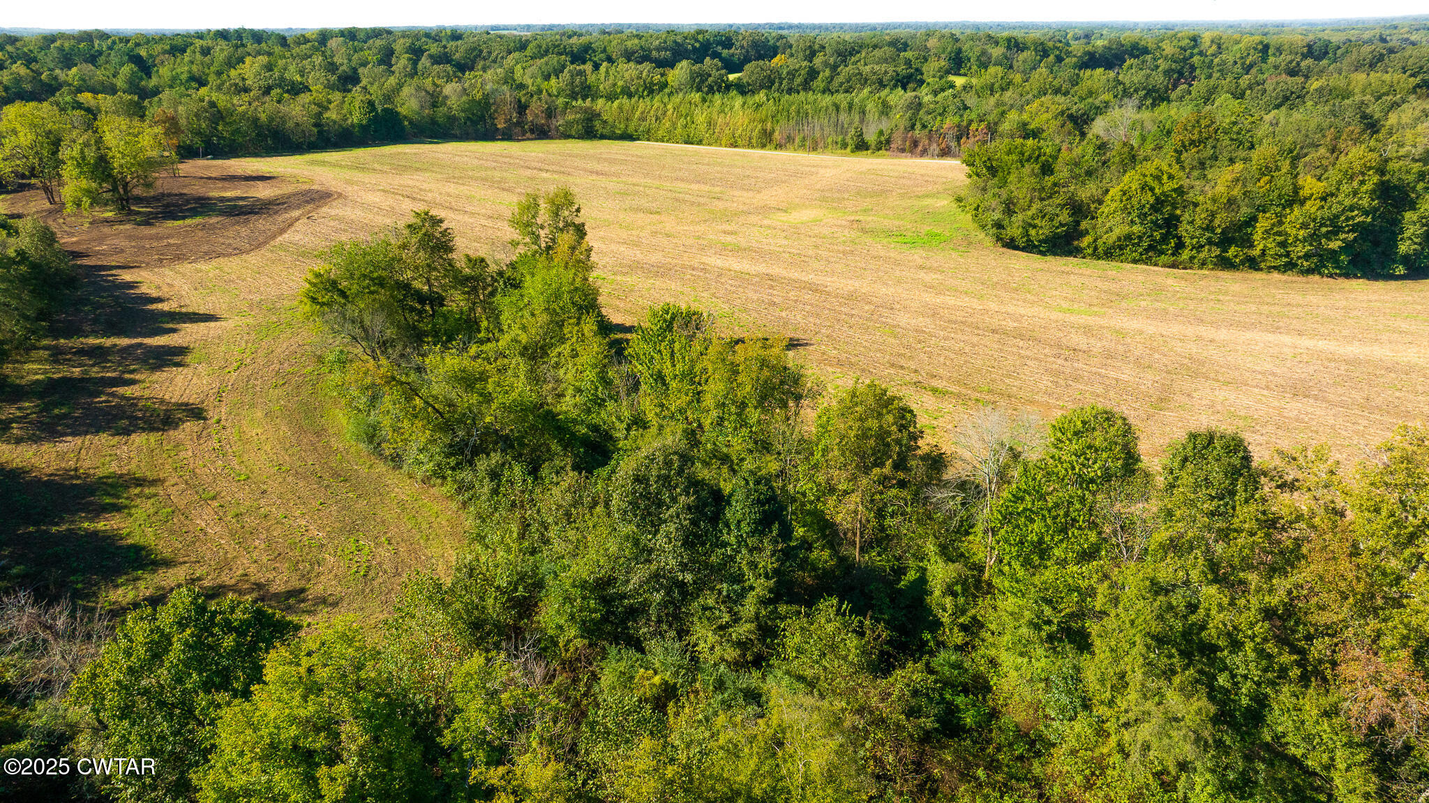 6 Hearn Road Greenfield, TN 38230 - Photo 8 of 17 DJI_20251009101617_0053_D