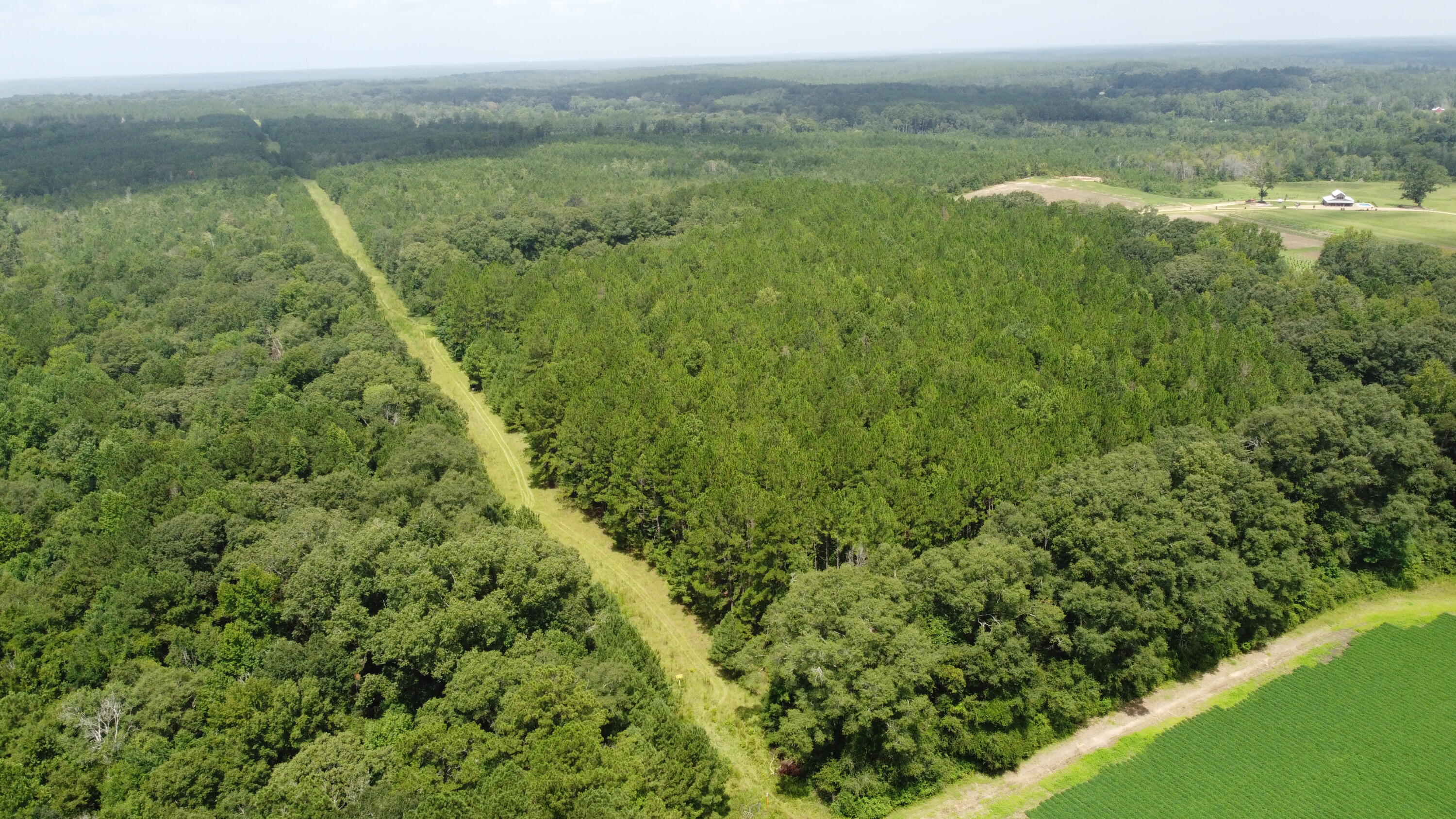 0 Buck Creek Road Richton, MS 39476 - Photo 1 of 1 20