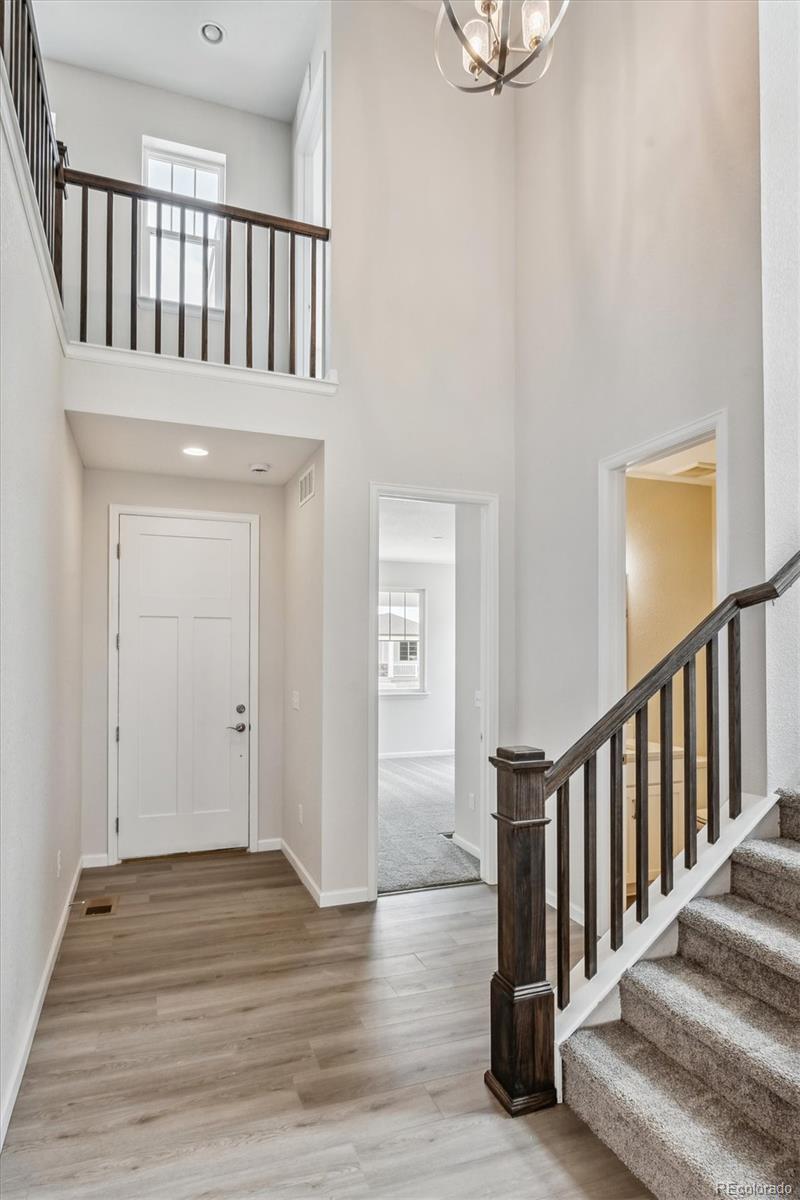 942 Rustling Street Windsor, CO 80550 - Photo 3 of 24 Gallery Image 3