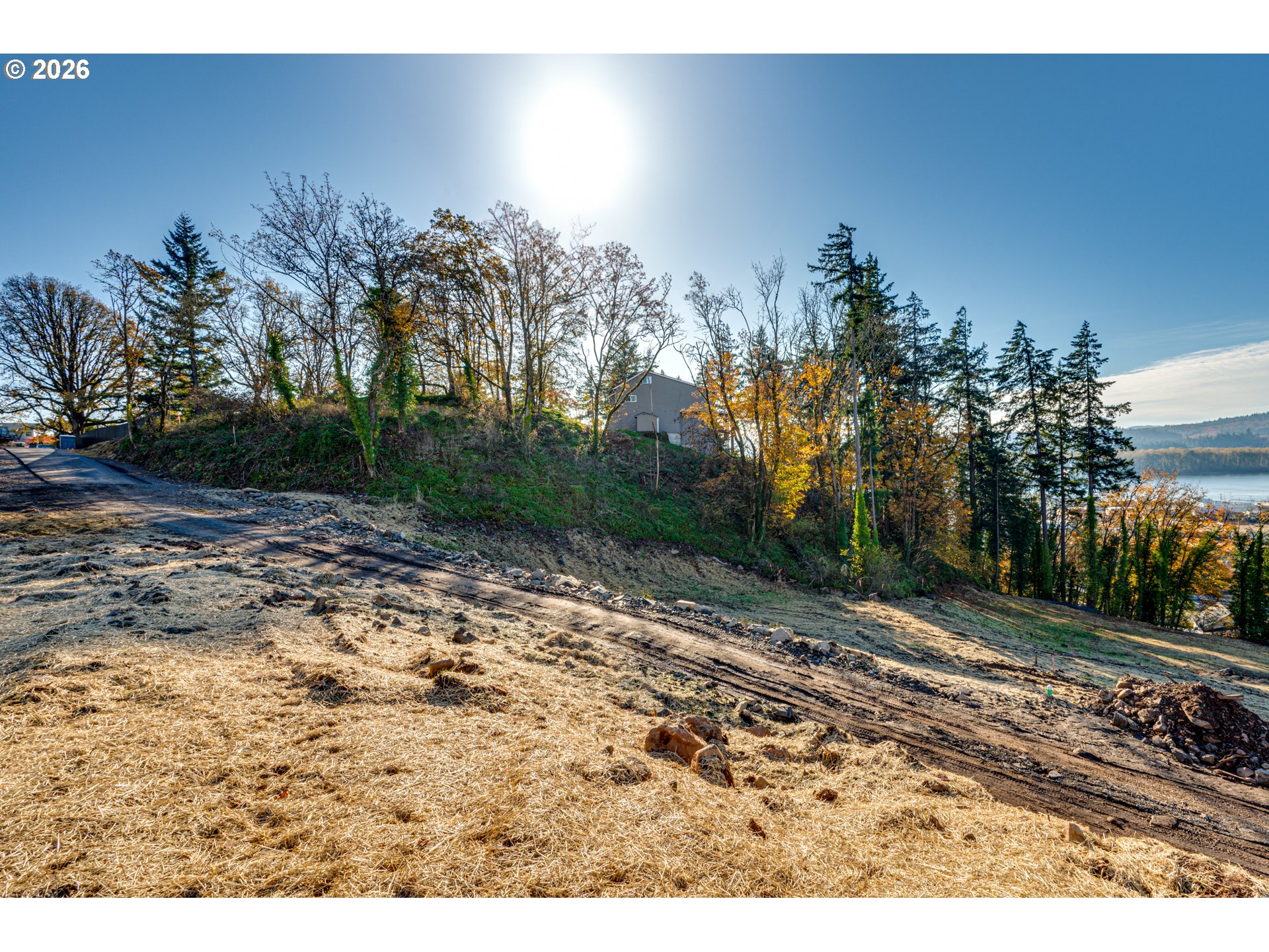 Spencer Creek Road Kalama, WA 98625 - Photo 7 of 23 a view of a yard with a tree