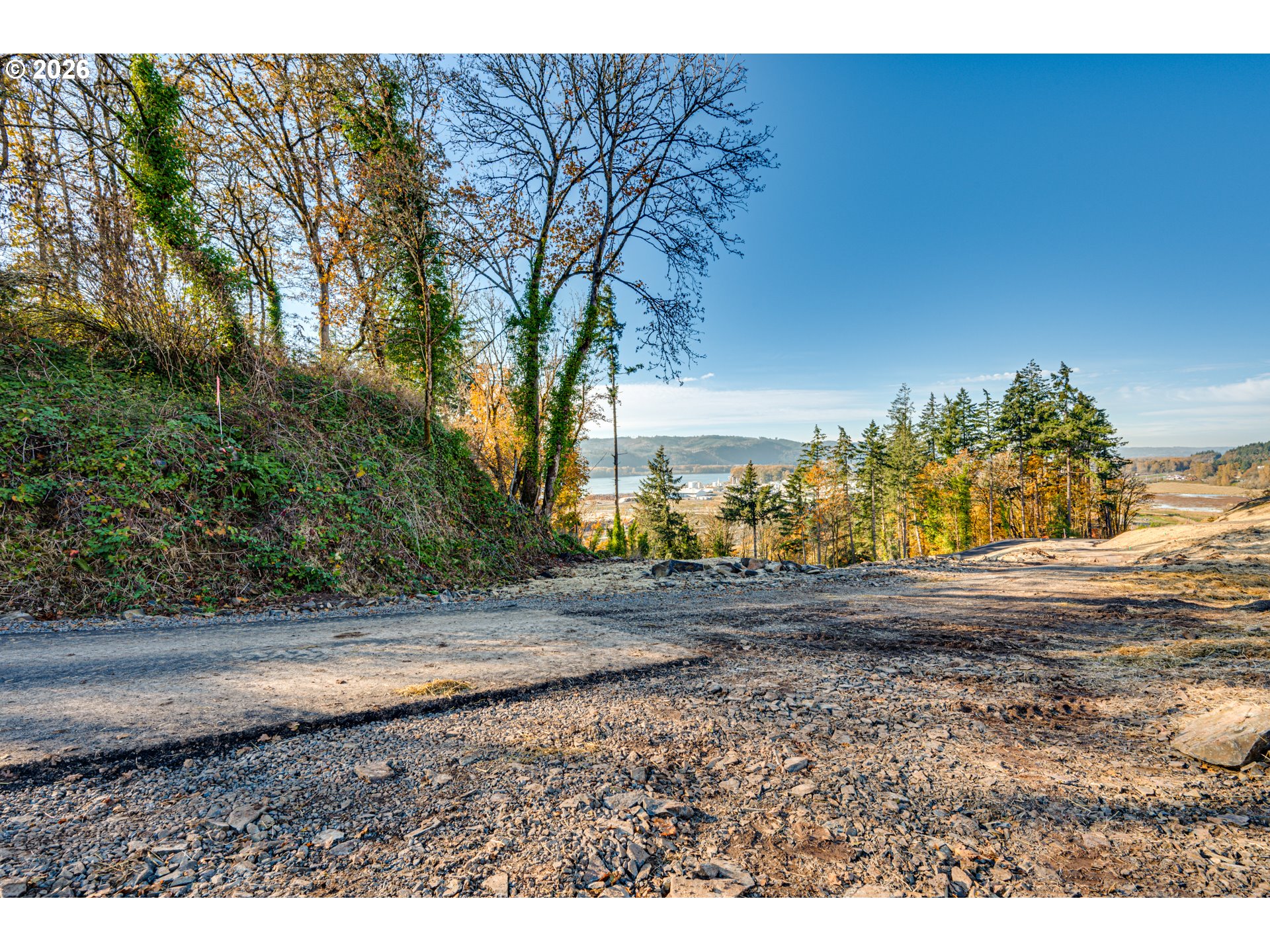 Spencer Creek Road Kalama, WA 98625 - Photo 9 of 23 a view of dirt yard with a large tree