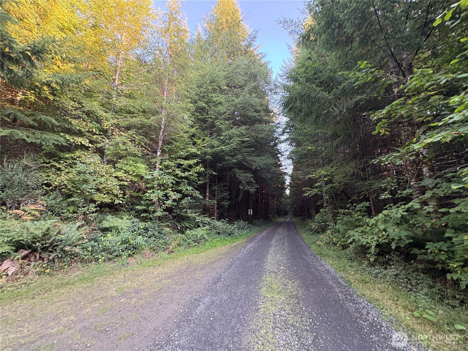 -nka Wiest Road Longview, WA 98632 - Photo 11 of 11 Gallery Image 11
