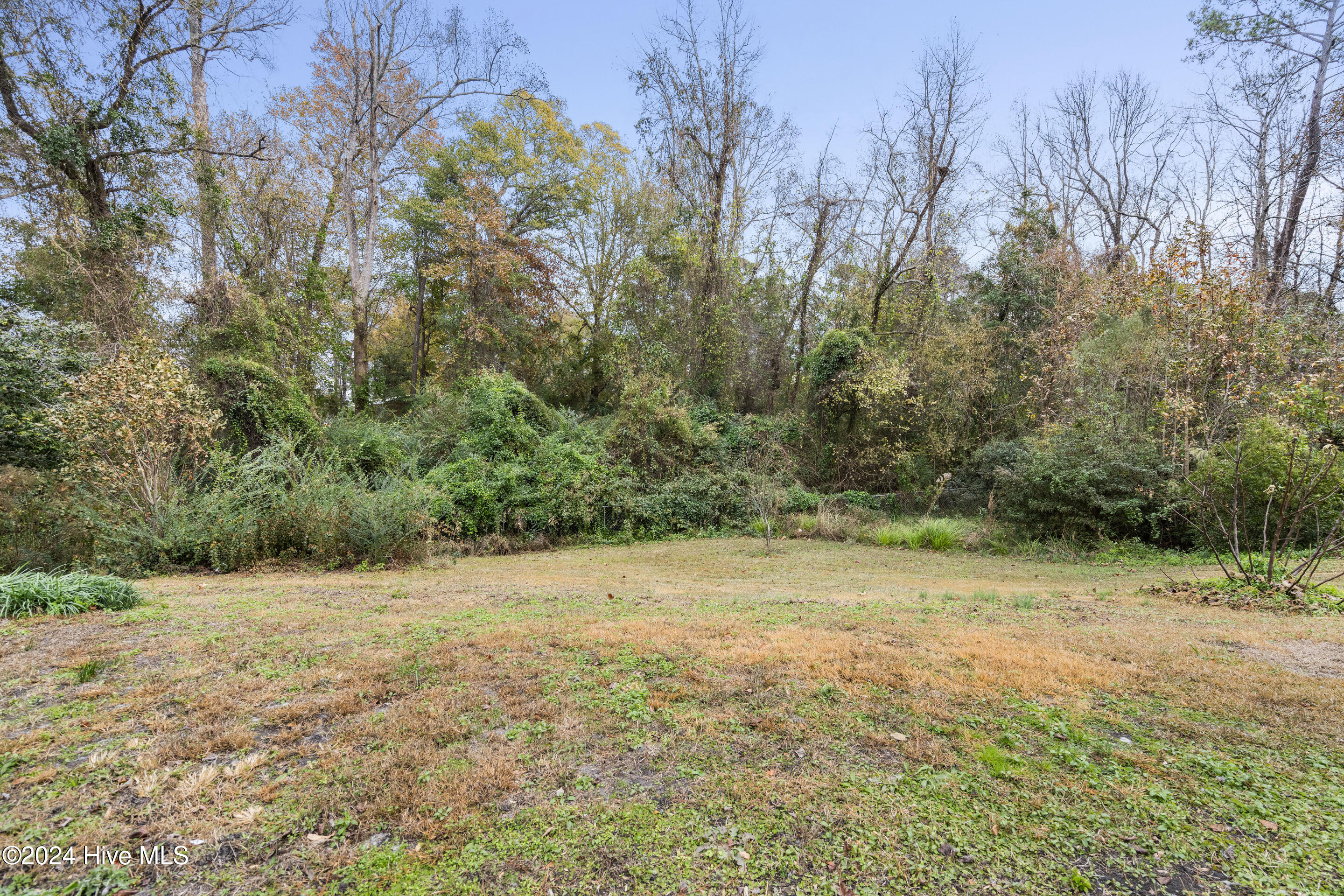 205 Church Road Havelock, NC 28532 - Photo 23 of 23 Backyard
