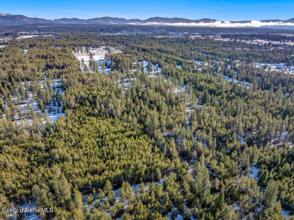 17011 North Wilkinson Road Rathdrum, ID 83858 - Photo 72 of 77 --72.jpg-SMALL