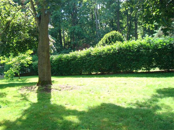 15 Candice Circle Springfield, MA 01107 - Photo 20 of 22 Gallery Image 20
