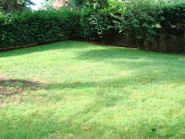 15 Candice Circle Springfield, MA 01107 - Photo 21 of 22 Gallery Image 21