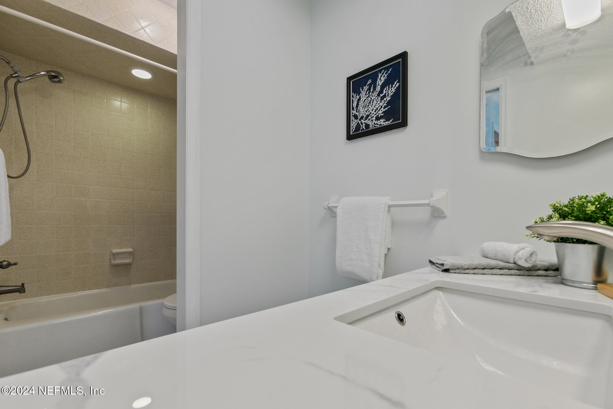 47 Sandpiper Drive St. Augustine, FL 32080 - Photo 37 of 61 a bathroom with a tub a sink and a potted plant on the counter