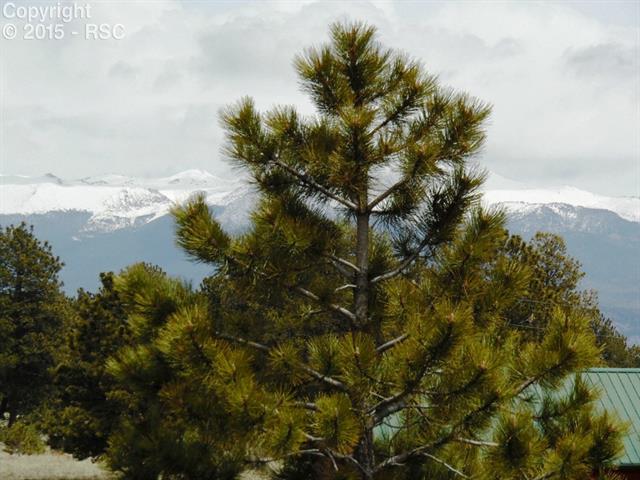 101 Pineway Road Guffey, CO 80820 - Photo 9 of 11 Pikes Peak to the east