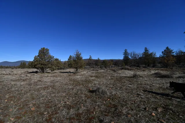 a view of a dry field