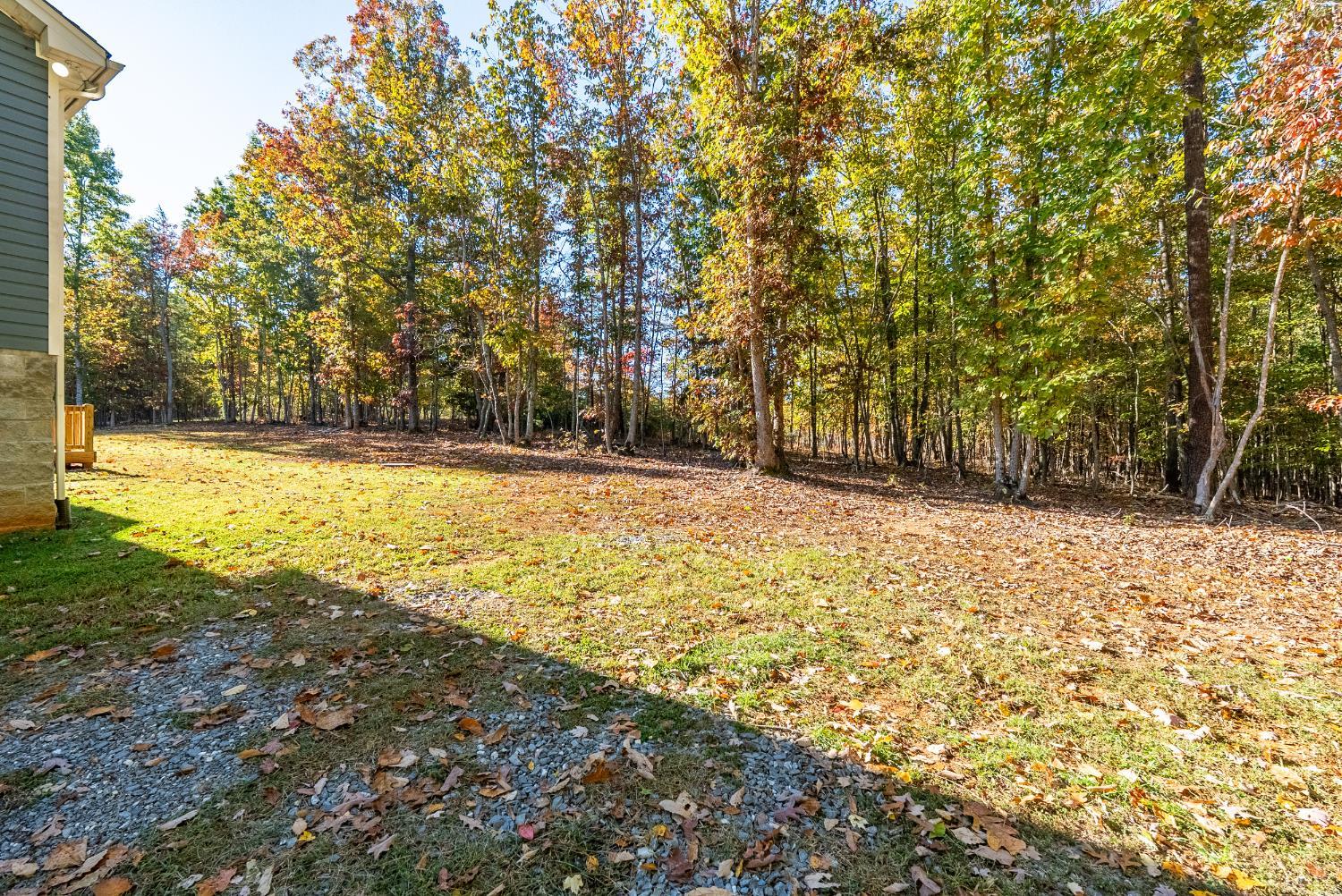 761 Chapel Grove Road Evington, VA 24550 - Photo 23 of 39 a view of a yard with a trees