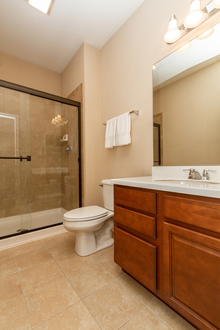 301 Reston Lane Gilberts, IL 60136 - Photo 11 of 21