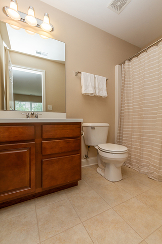 301 Reston Lane Gilberts, IL 60136 - Photo 19 of 21