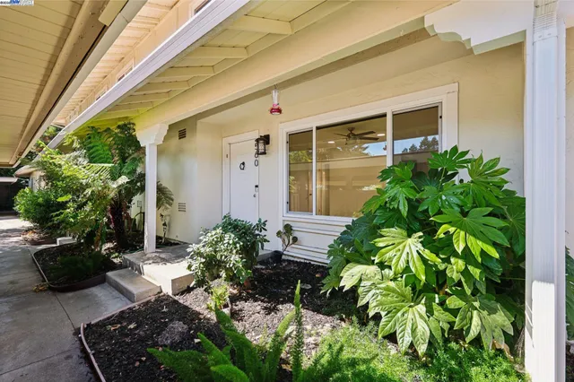 a view of a backyard with potted plants