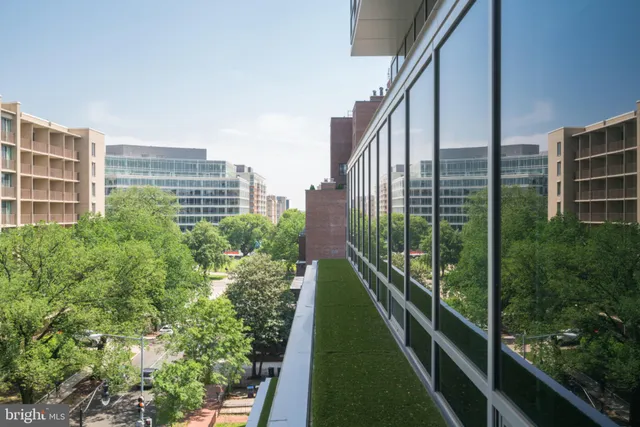 a view of a garden from a building