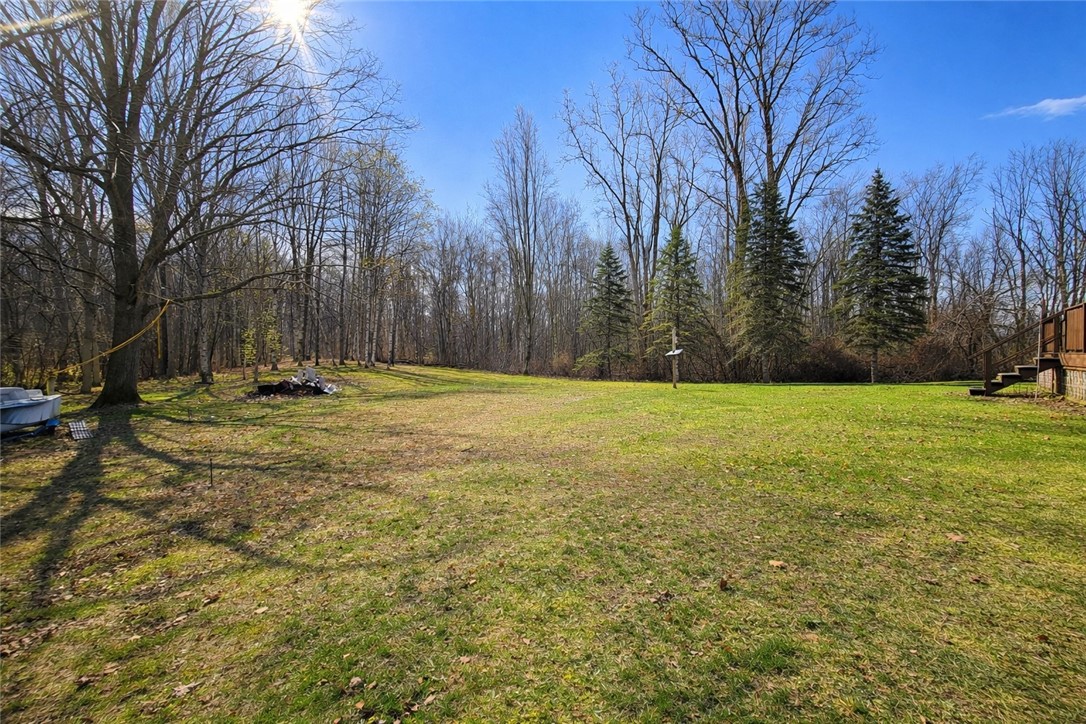 1771 Blue Sky Road Waterloo, NY 13165 - Photo 23 of 29