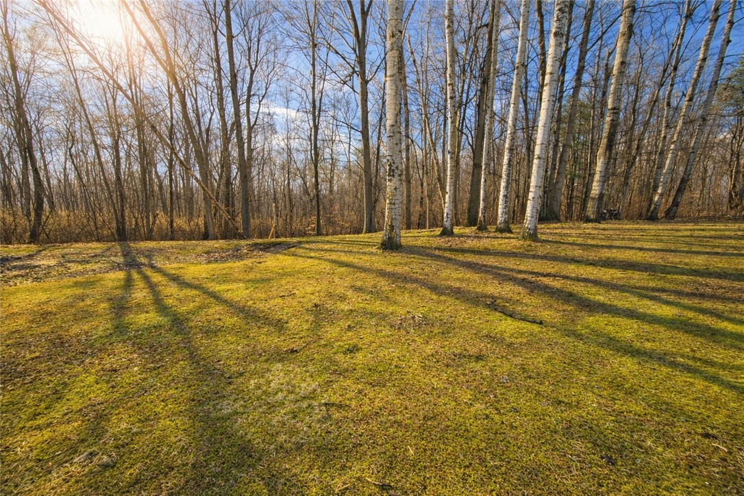 1771 Blue Sky Road Waterloo, NY 13165 - Photo 24 of 29