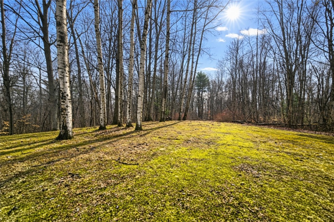 1771 Blue Sky Road Waterloo, NY 13165 - Photo 25 of 29