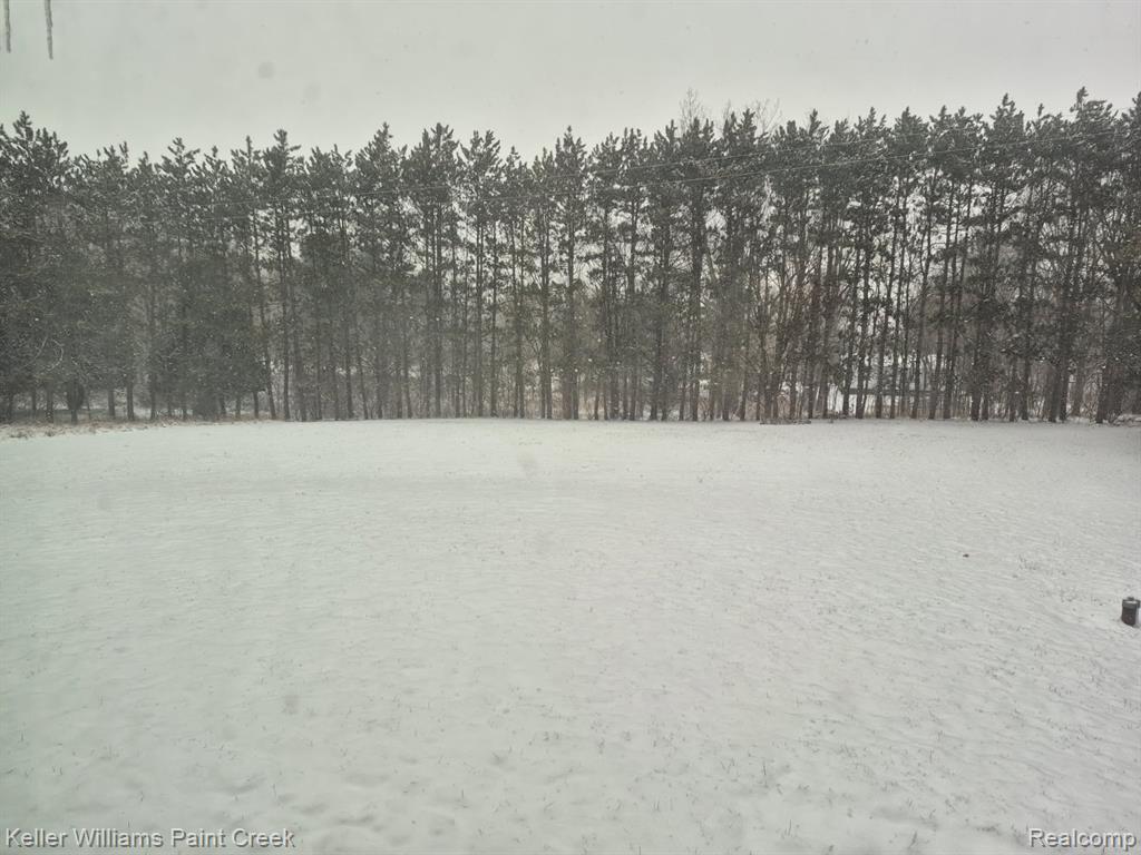6373 Hall Road Dryden, MI 48428 - Photo 12 of 14