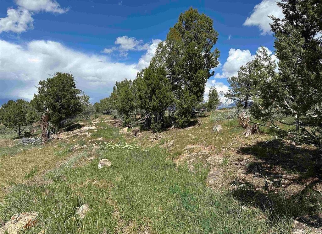 37838 Polson Road Crawford, CO 81415 - Photo 23 of 42 Gallery Image 23