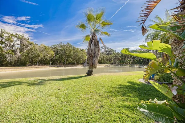 a view of a swimming pool with a yard