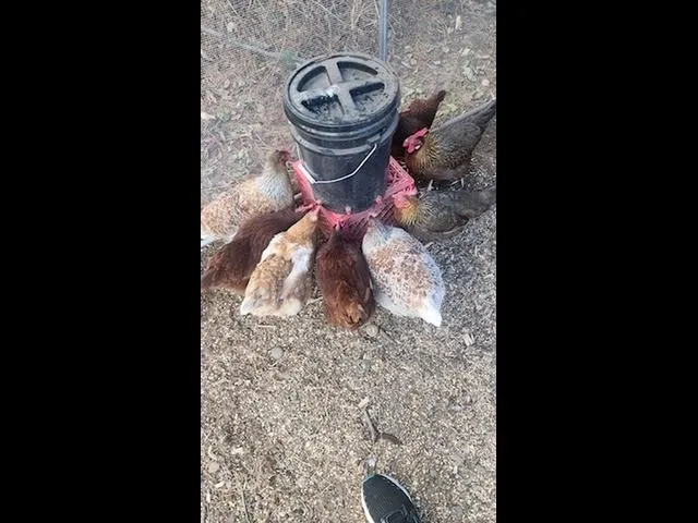 $1,499,000 | 925 14th Street, Cloquet, MN 55720