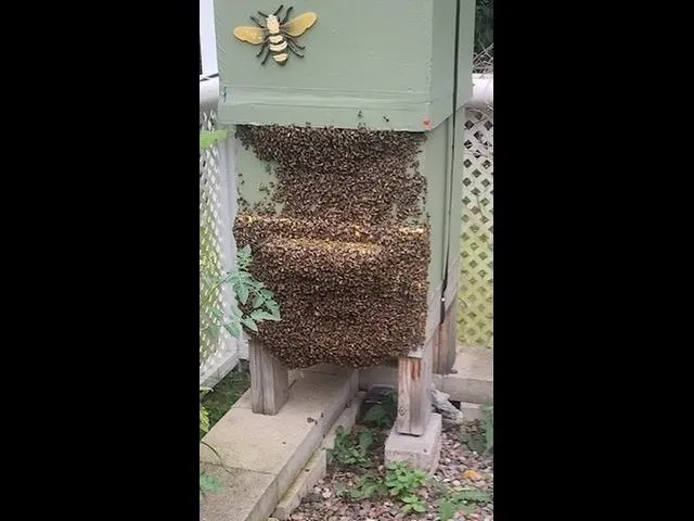 $1,499,000 | 925 14th Street, Cloquet, MN 55720