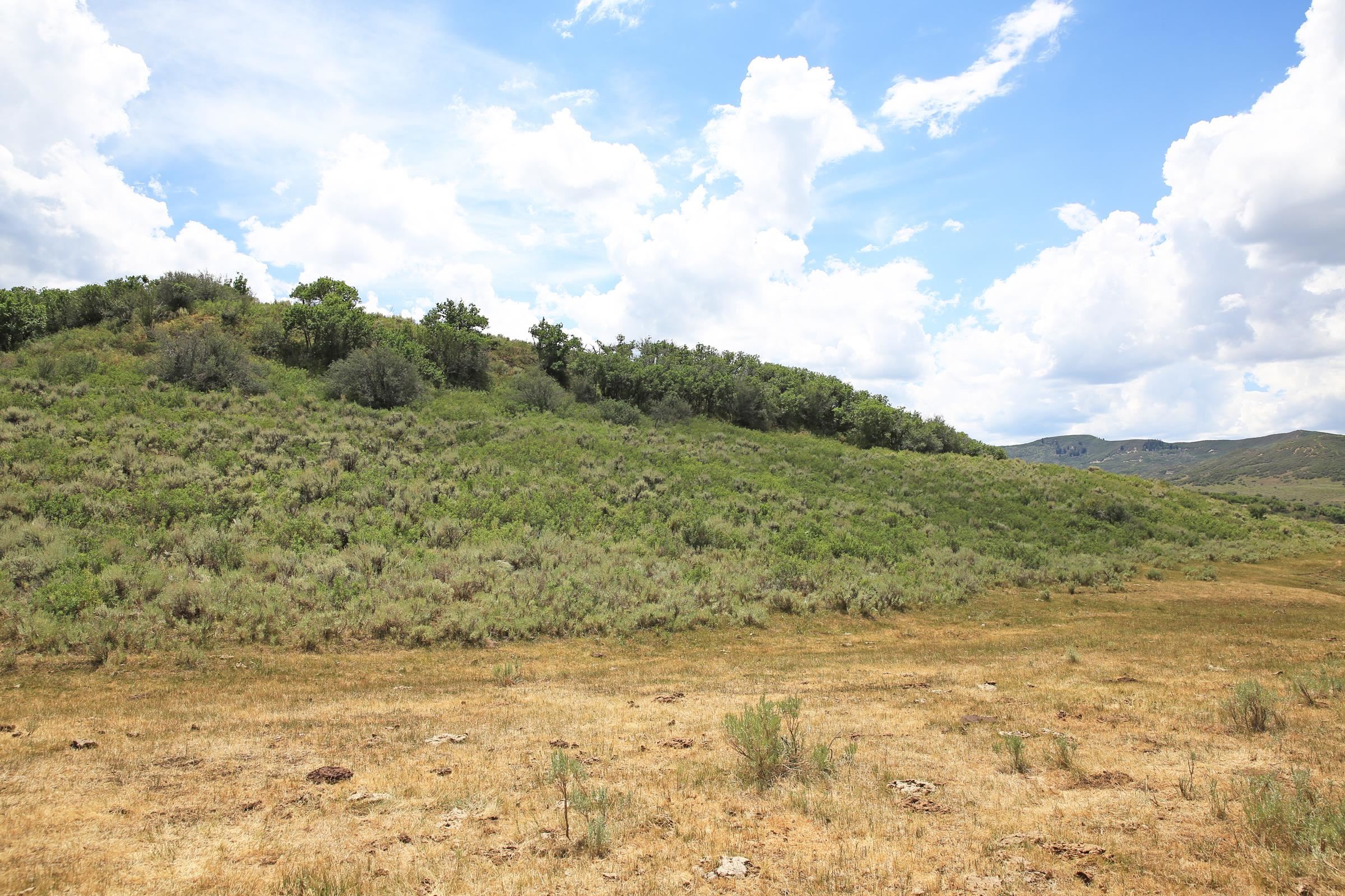 Tbd Harrison Creek Road Collbran, CO 81624 - Photo 22 of 40 Gallery Image 22