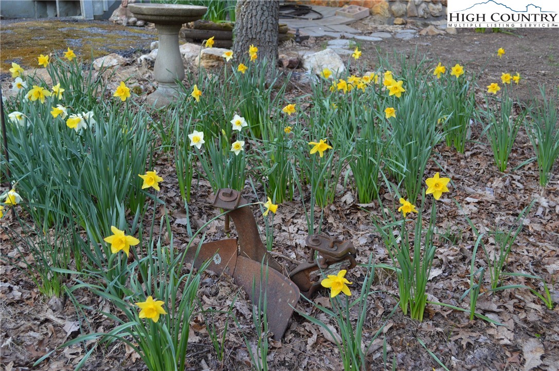 350 Deer Run Road Glade Valley, NC 28627 - Photo 3 of 3 Gallery Image 3