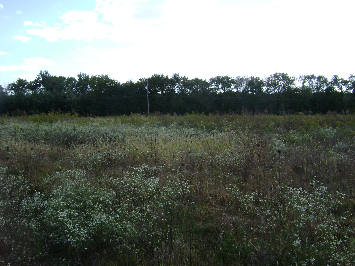 0 North 2753rd Road Marseilles, IL 61341 - Photo 5 of 6