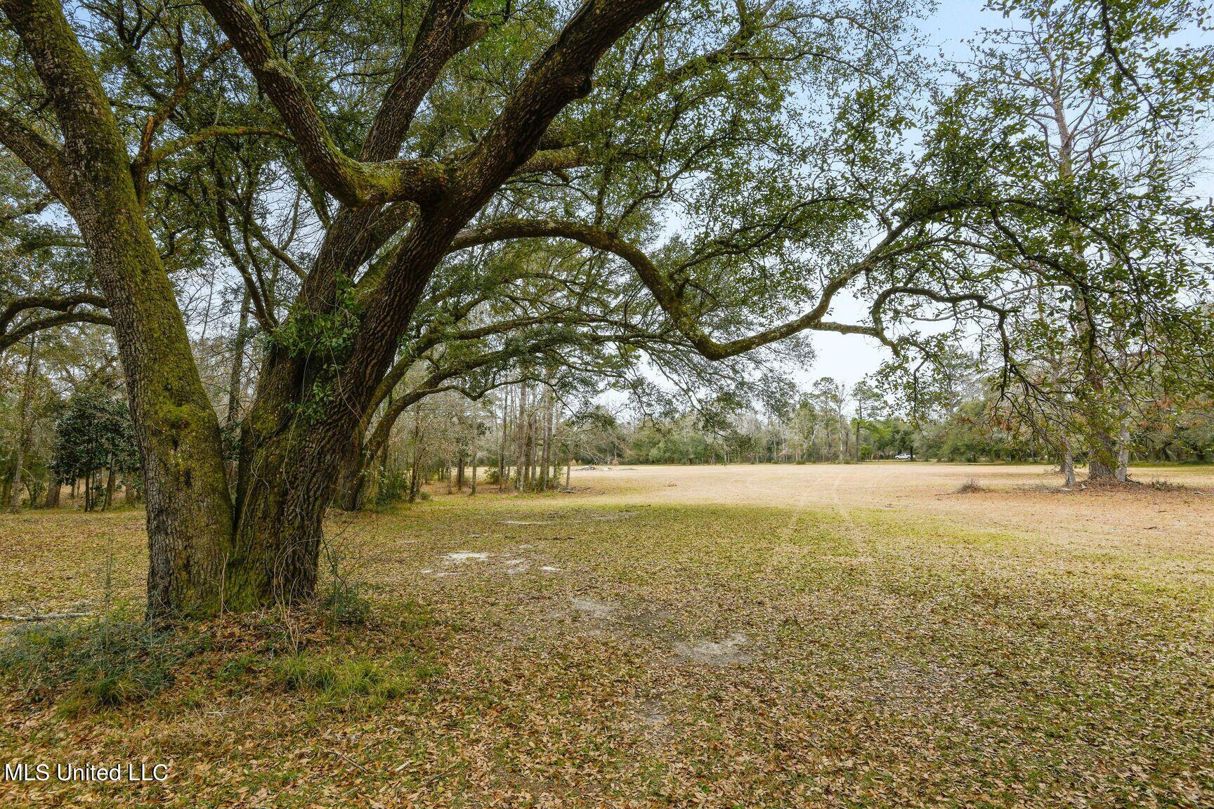 3000 Kiln Delisle Road Kiln, MS 39556 - Photo 14 of 20 0001-018
