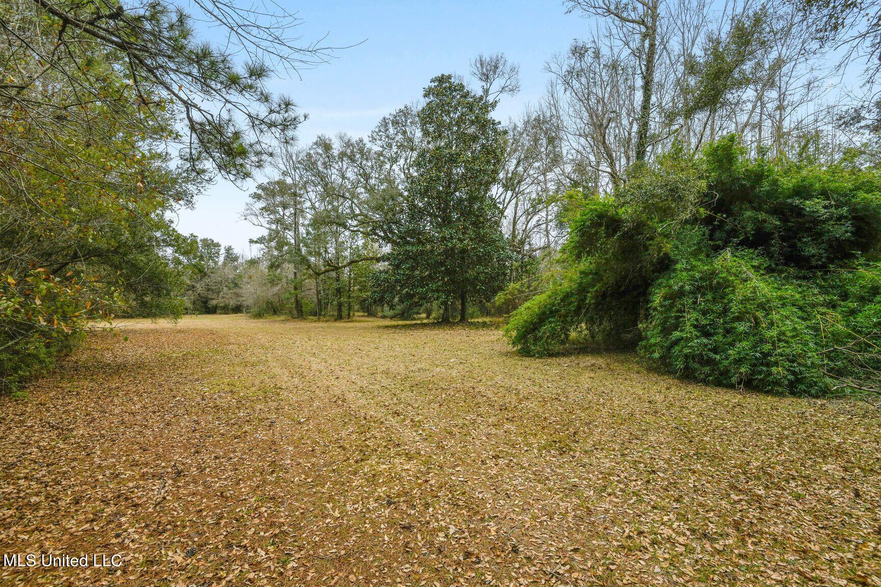 3000 Kiln Delisle Road Kiln, MS 39556 - Photo 17 of 20 0002-019