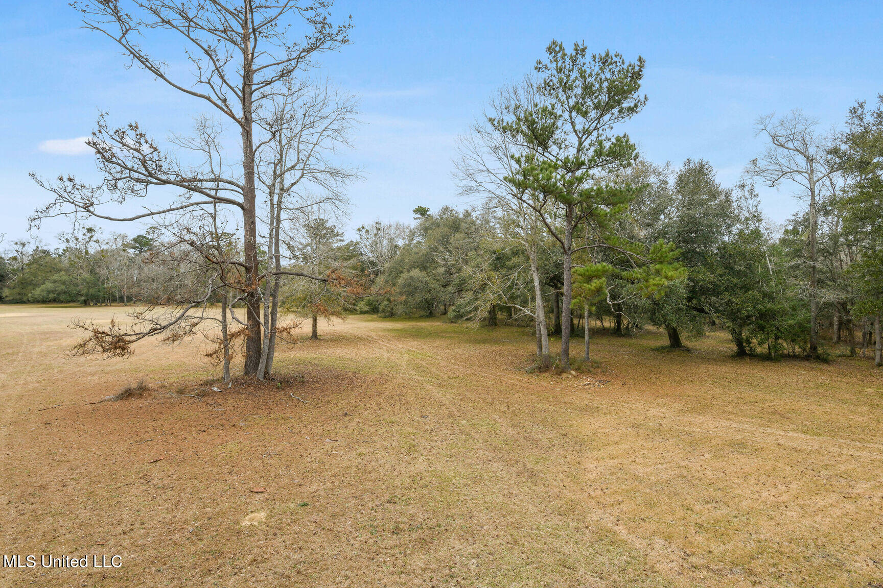 3000 Kiln Delisle Road Kiln, MS 39556 - Photo 20 of 20 0003-020