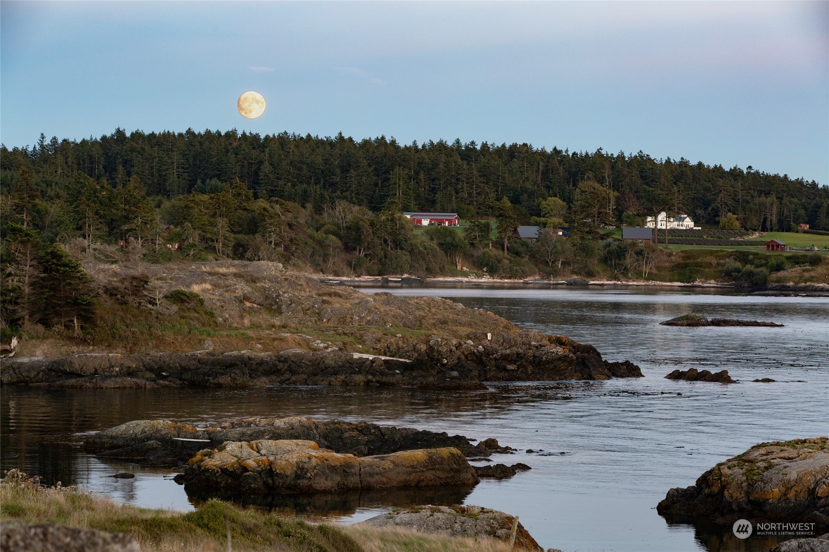 117 Half Moon Road Friday Harbor, WA 98250 - Photo 31 of 40 Gallery Image 31