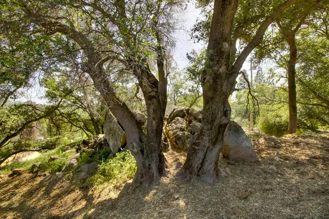 $841,900 | 8535 Irish Lane, Newcastle, CA 95658