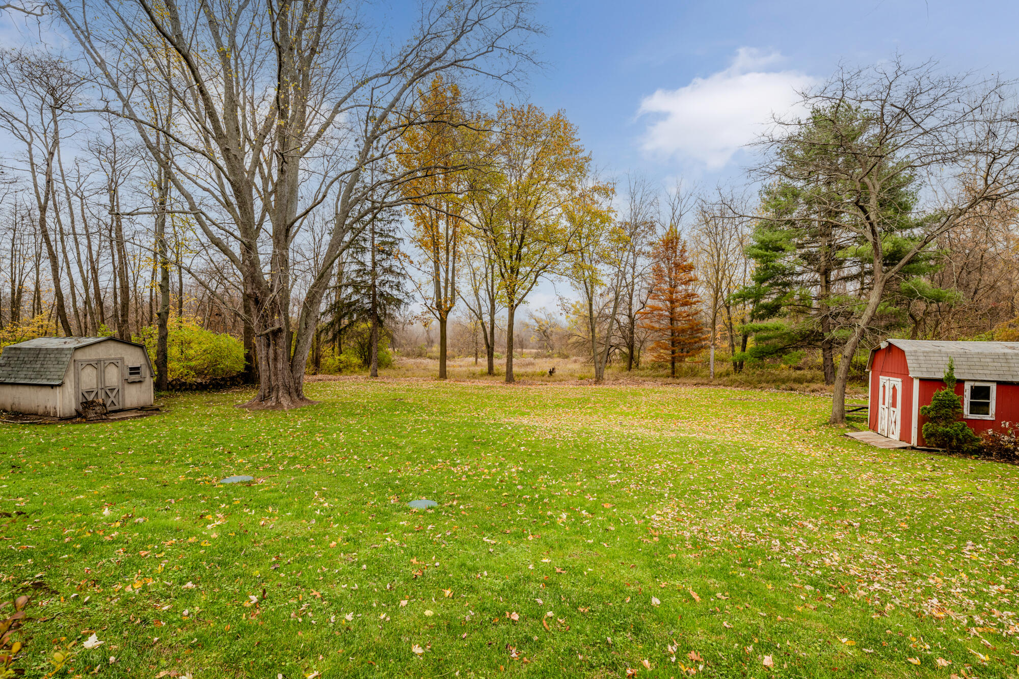 5865 Snyder Road Berrien Springs, MI 49103 - Photo 4 of 24 Copy of Snyder-104