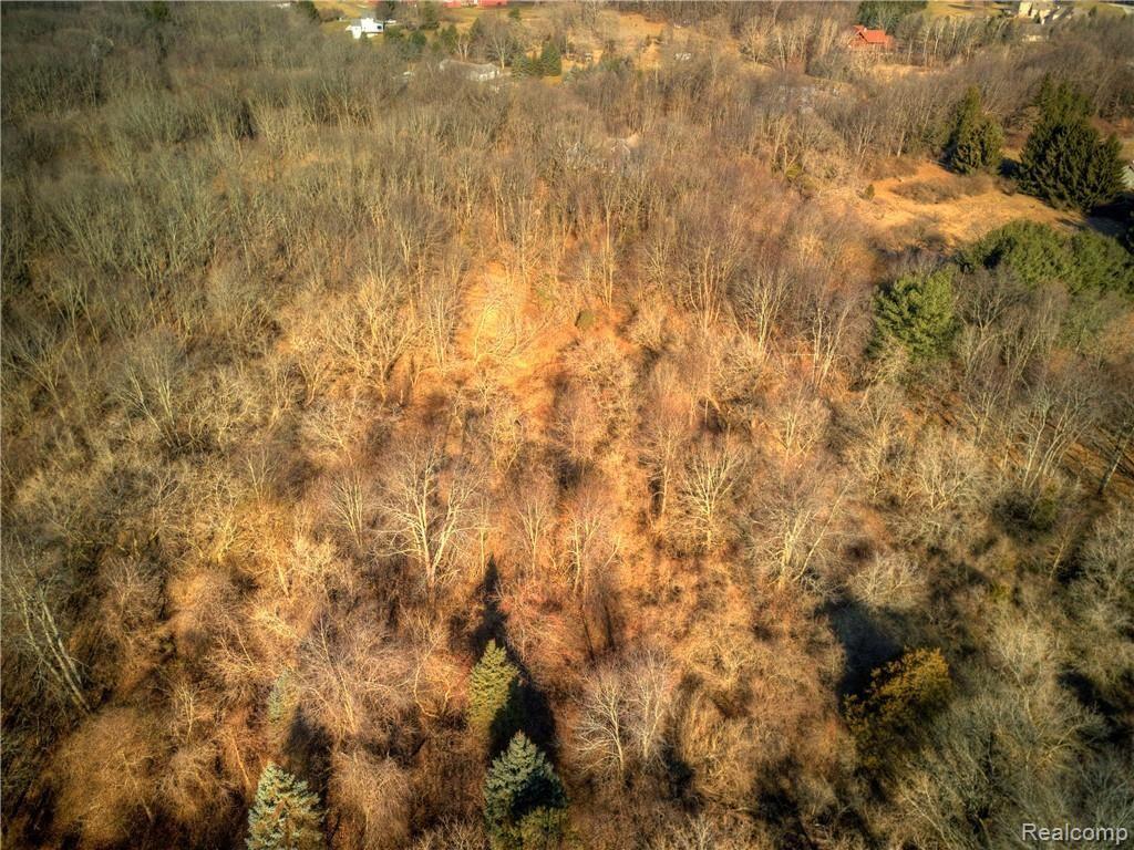 0 King Road Howell, MI 48843 - Photo 32 of 35