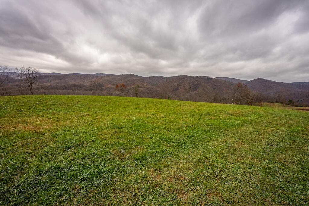 Lot 1 Curve Road Pearisburg, VA 24134 - Photo 17 of 28 DSC06052