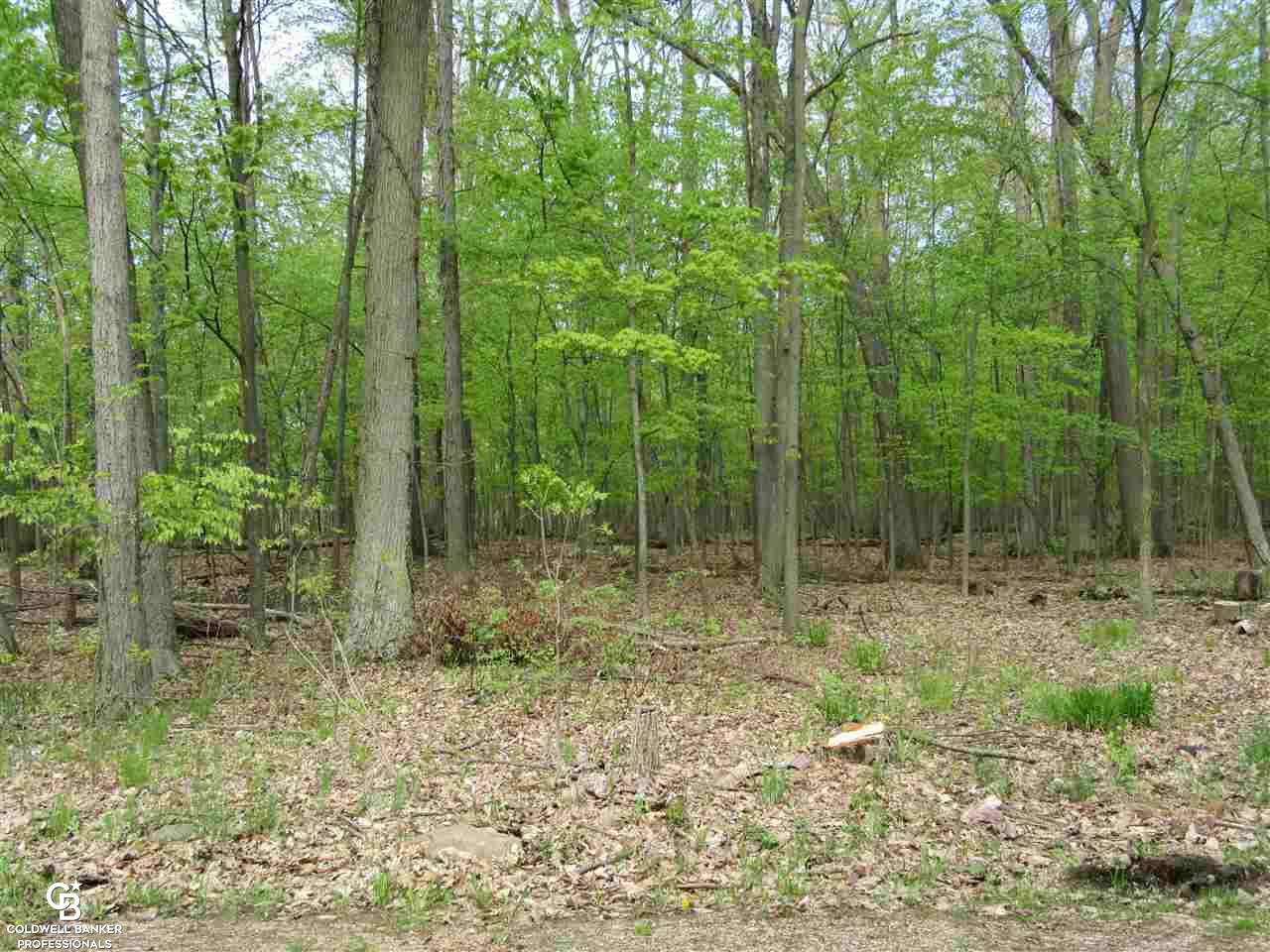 14481 Speaker Road Yale, MI 48097 - Photo 5 of 10 31380794-4.JPG