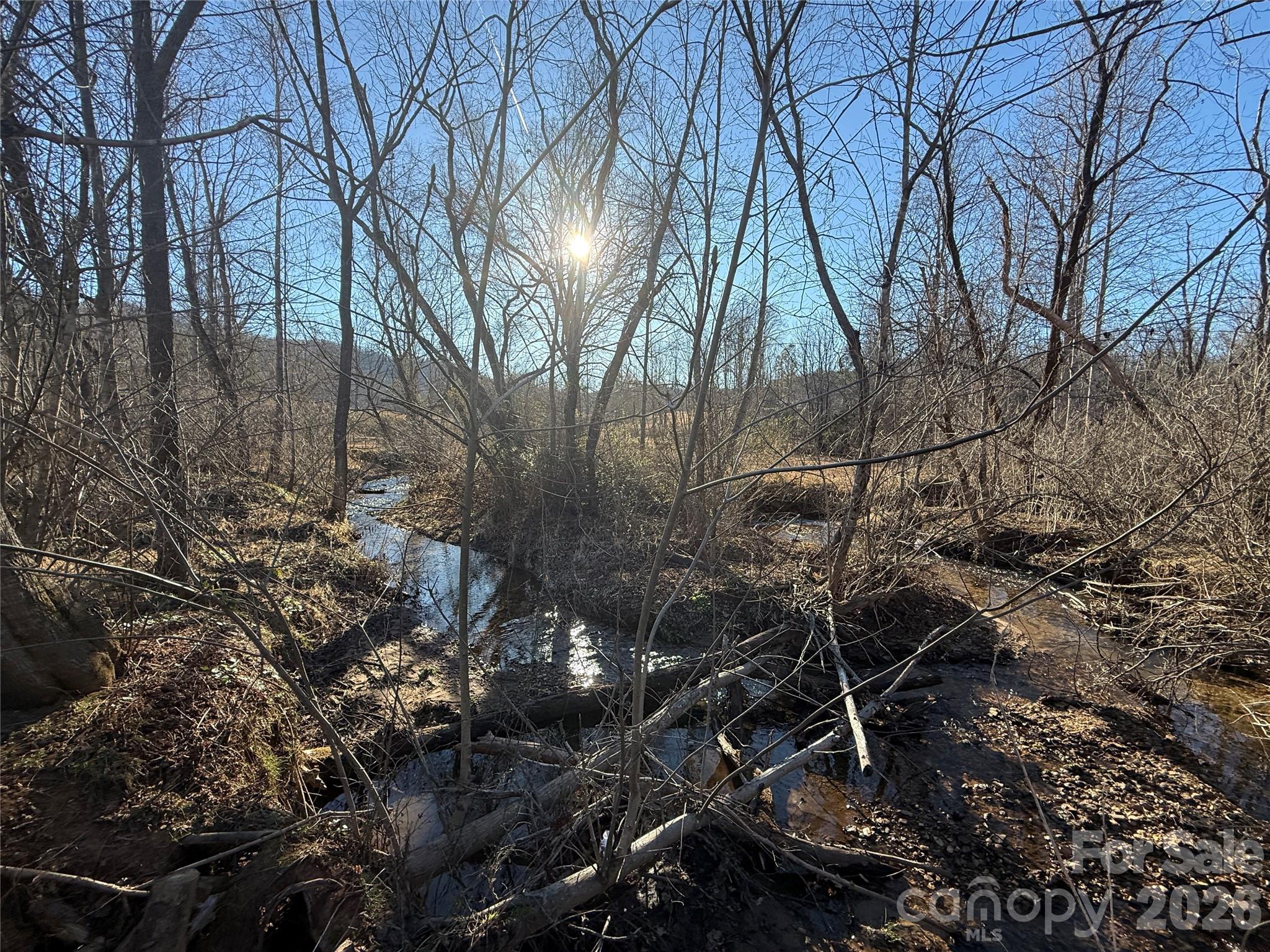 0 Old Fort Sugar Hill Road Marion, NC 28752 - Photo 1 of 35 a backyard of a house with lots of green space