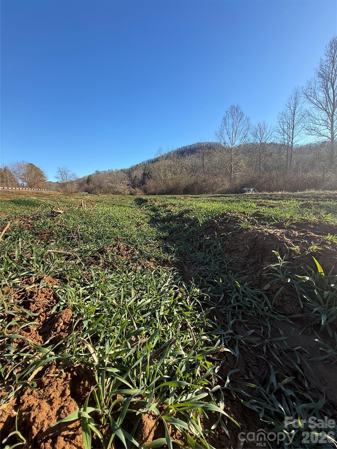 0 Old Fort Sugar Hill Road Marion, NC 28752 - Photo 12 of 35 a view of a yard with an outdoor space