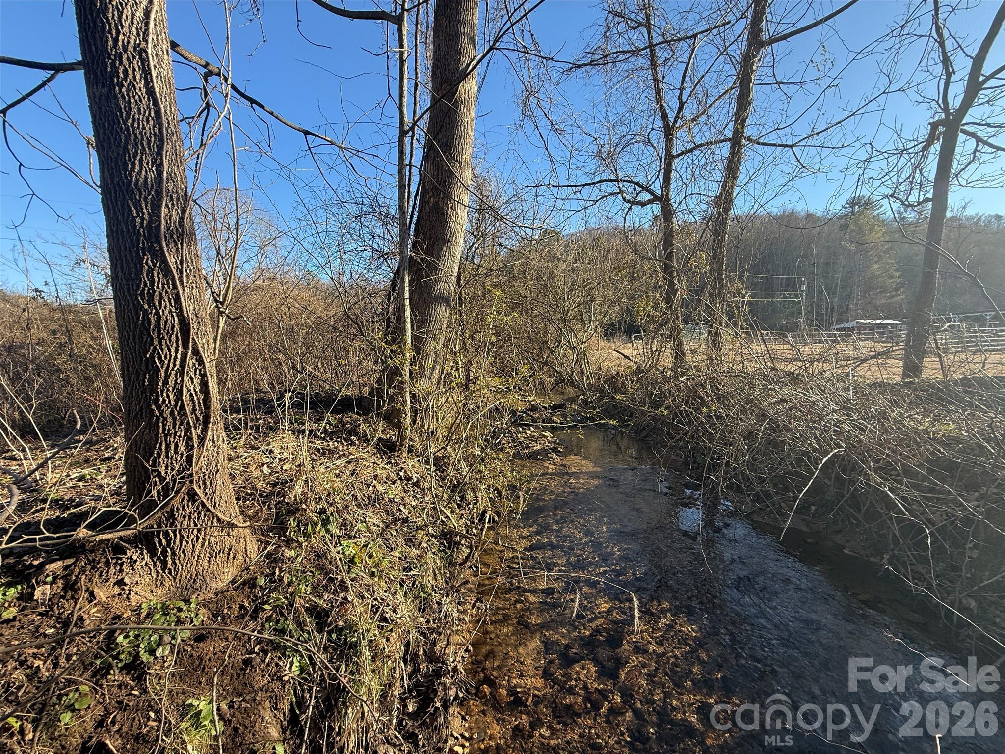 0 Old Fort Sugar Hill Road Marion, NC 28752 - Photo 18 of 35 a view of a yard