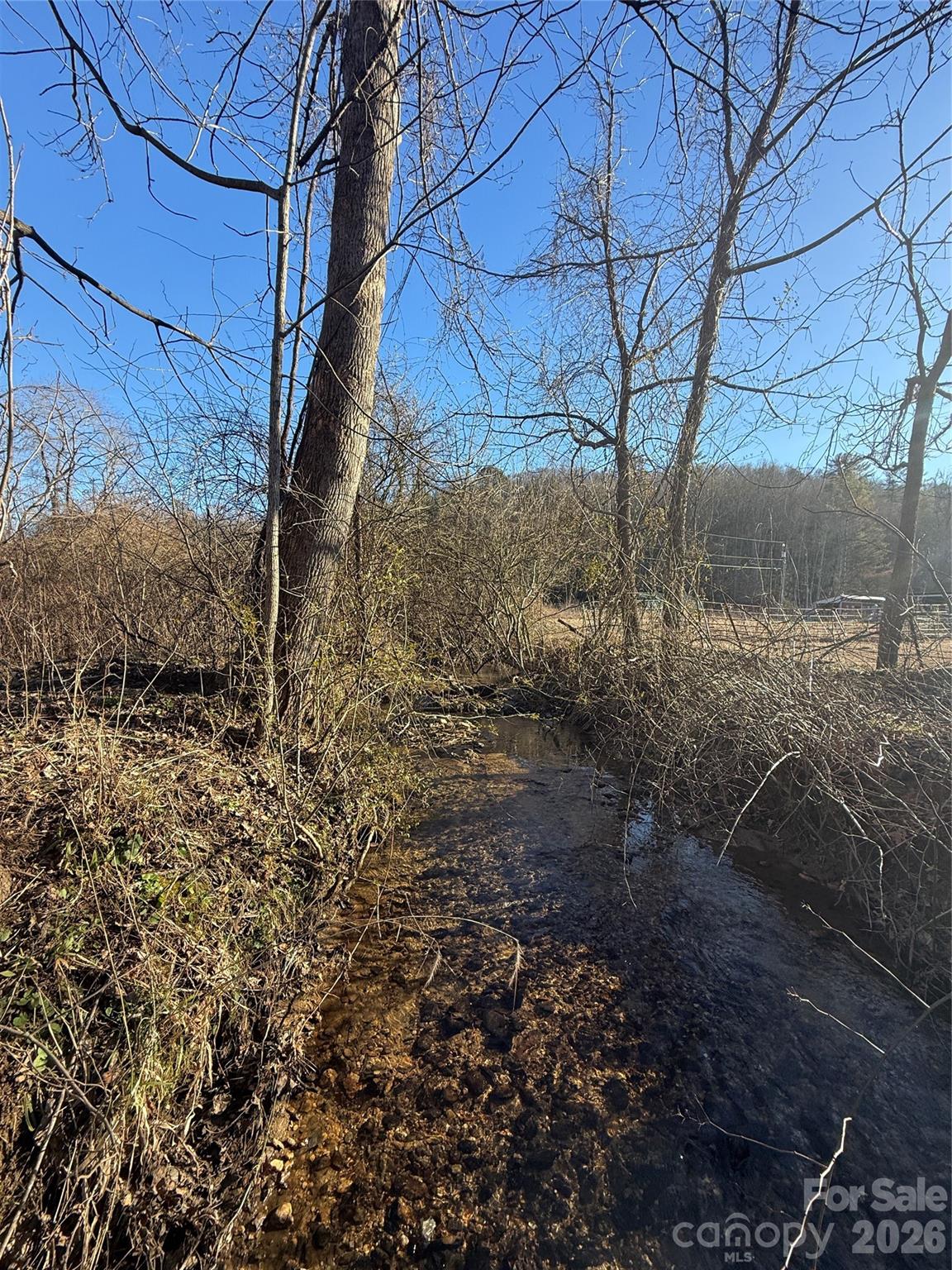 0 Old Fort Sugar Hill Road Marion, NC 28752 - Photo 19 of 35 a view of a backyard of the house