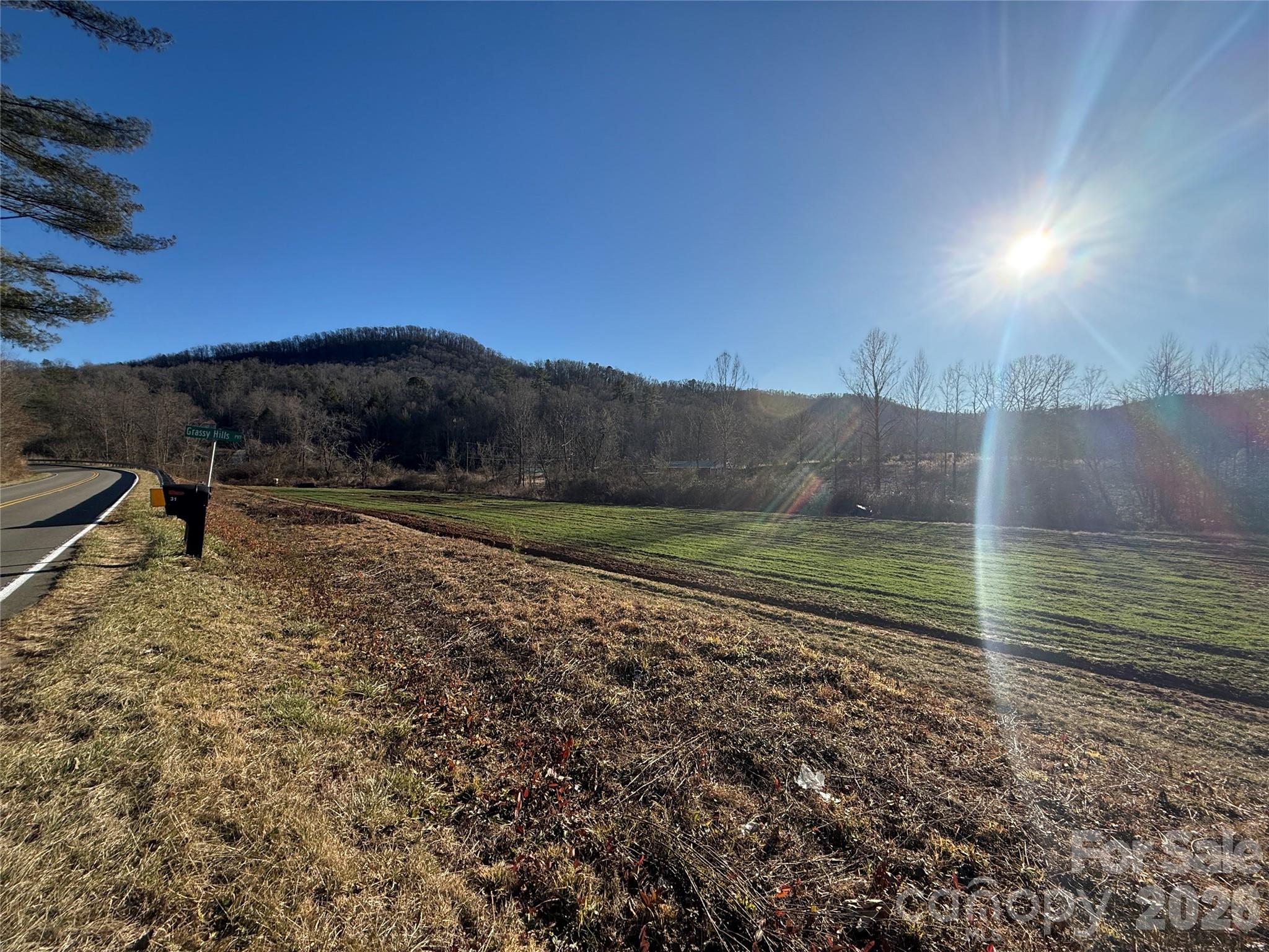 0 Old Fort Sugar Hill Road Marion, NC 28752 - Photo 27 of 35 a view of a back yard