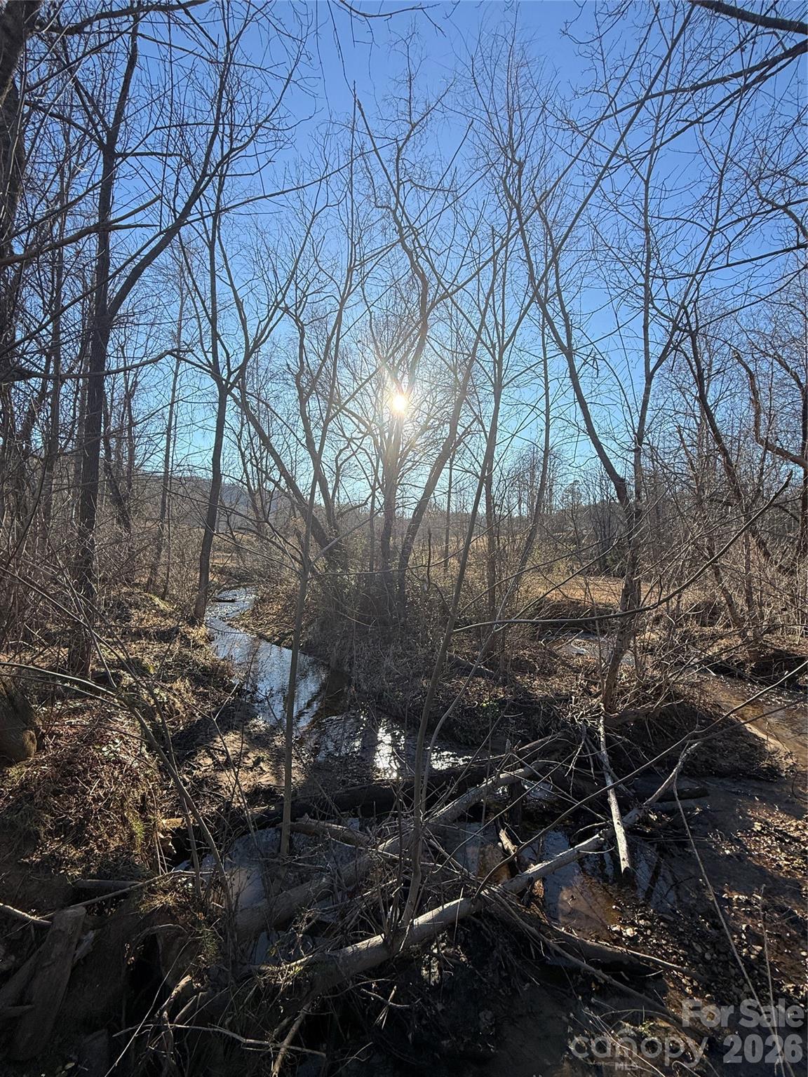 0 Old Fort Sugar Hill Road Marion, NC 28752 - Photo 3 of 35 a backyard of a house with lots of green space