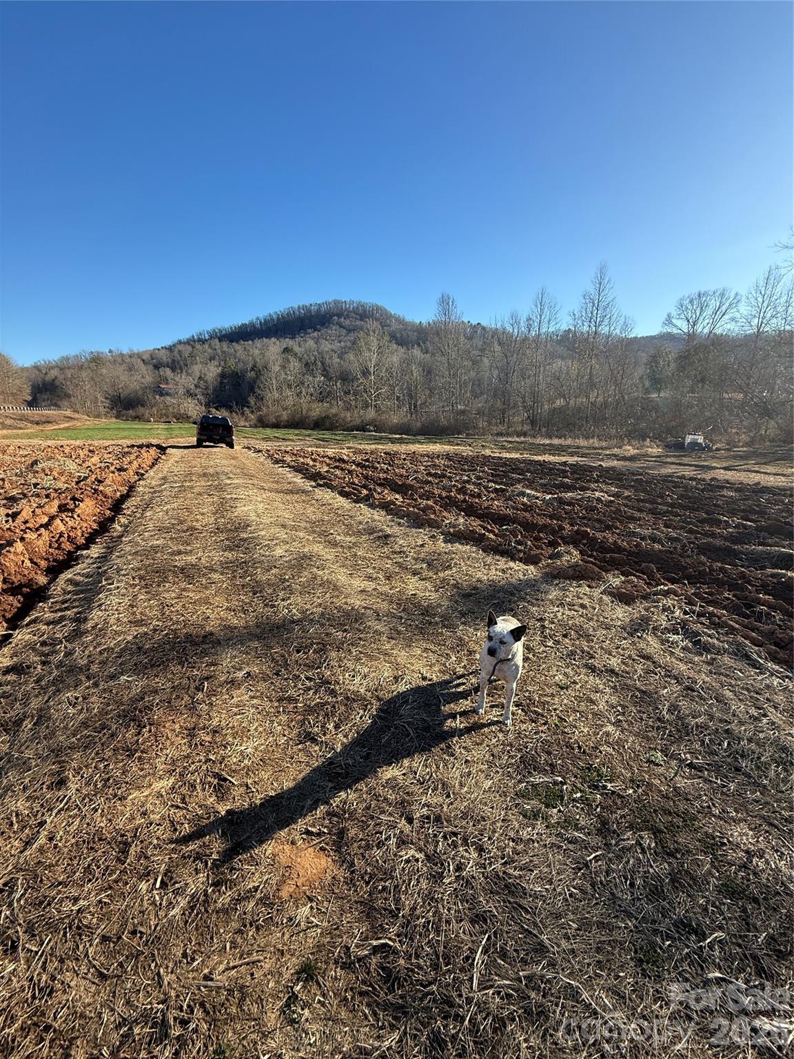 0 Old Fort Sugar Hill Road Marion, NC 28752 - Photo 34 of 35 a view of a yard next to a building