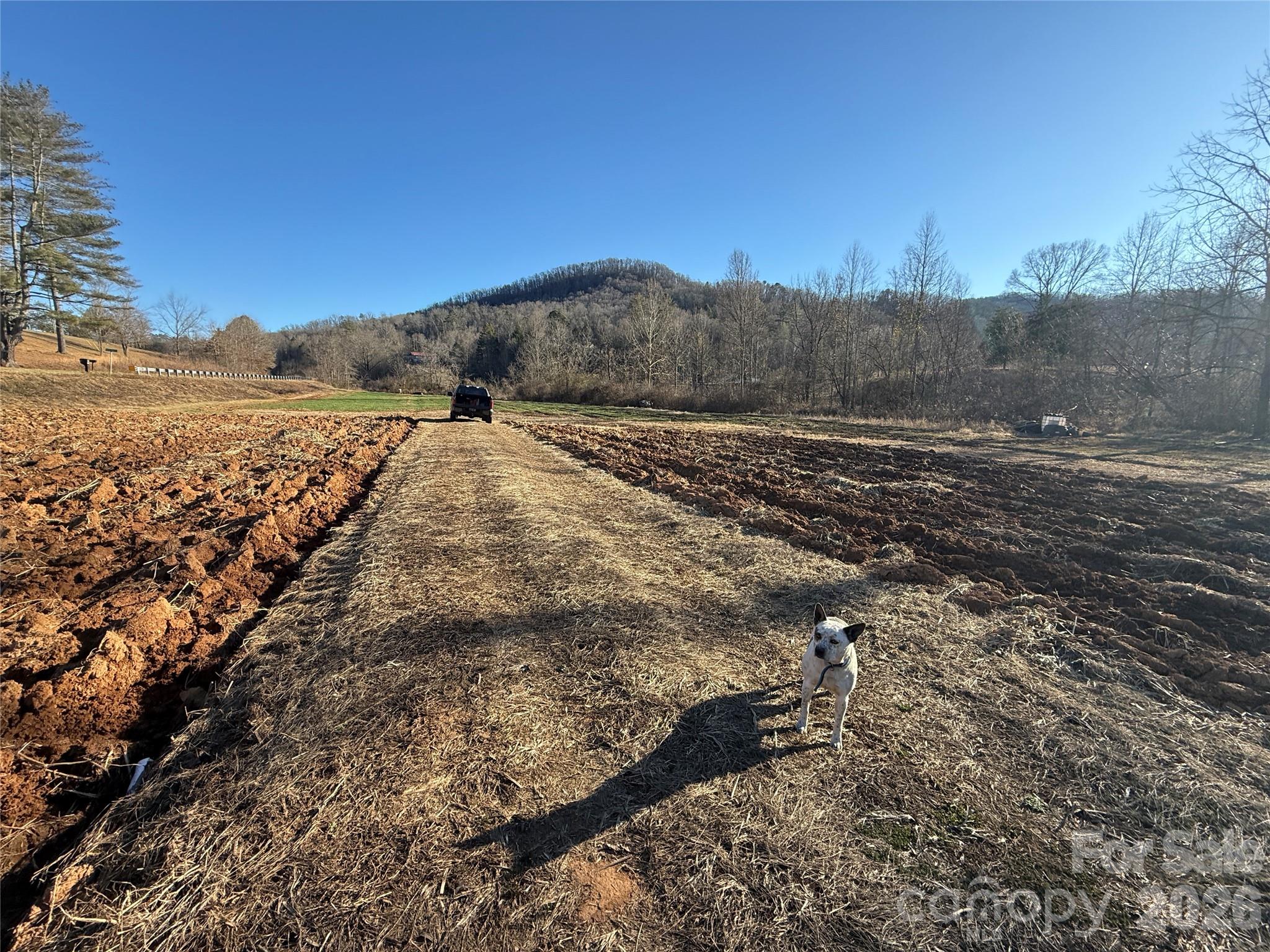 0 Old Fort Sugar Hill Road Marion, NC 28752 - Photo 35 of 35 a view of a dry yard
